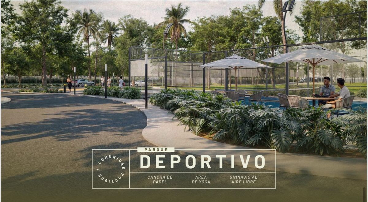 4 de 6
