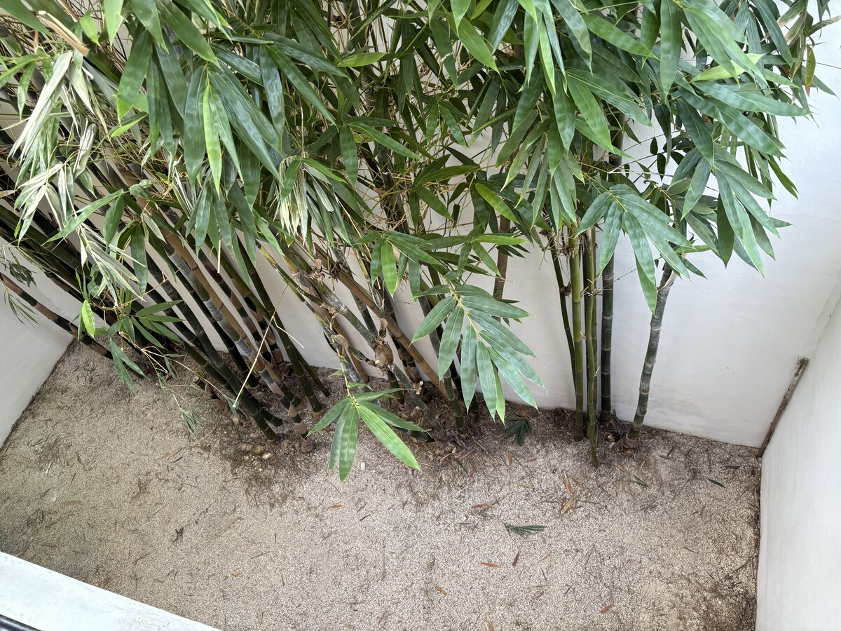 37 de 44