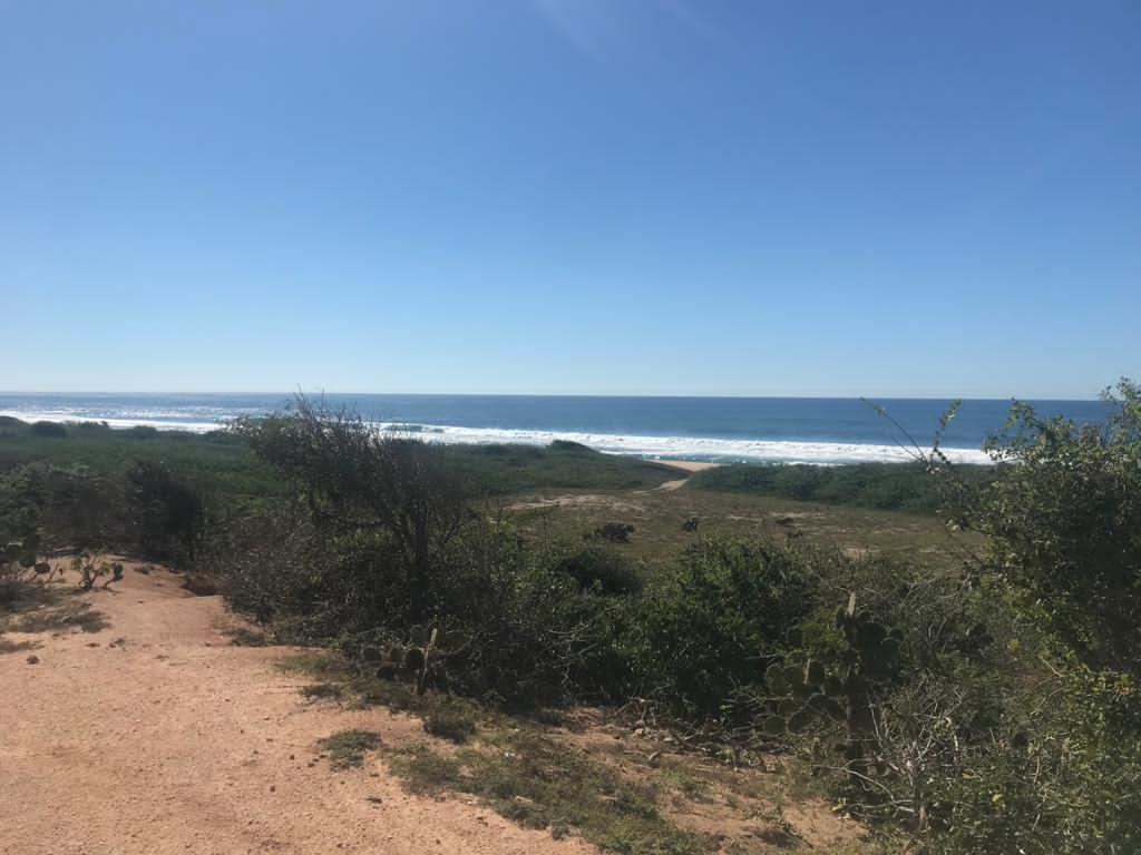 10 de 10