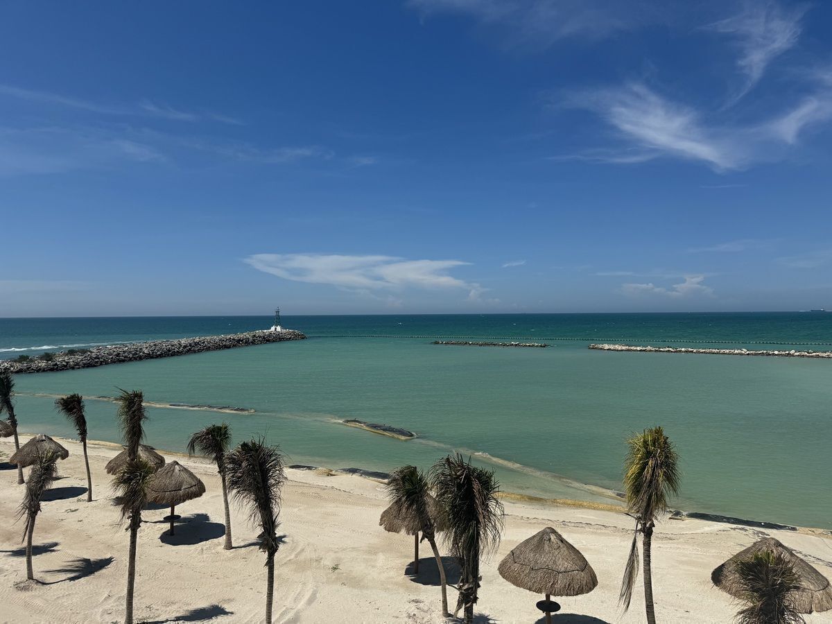 3 de 19