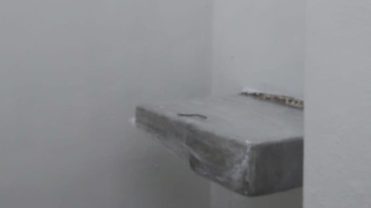 2 de 11