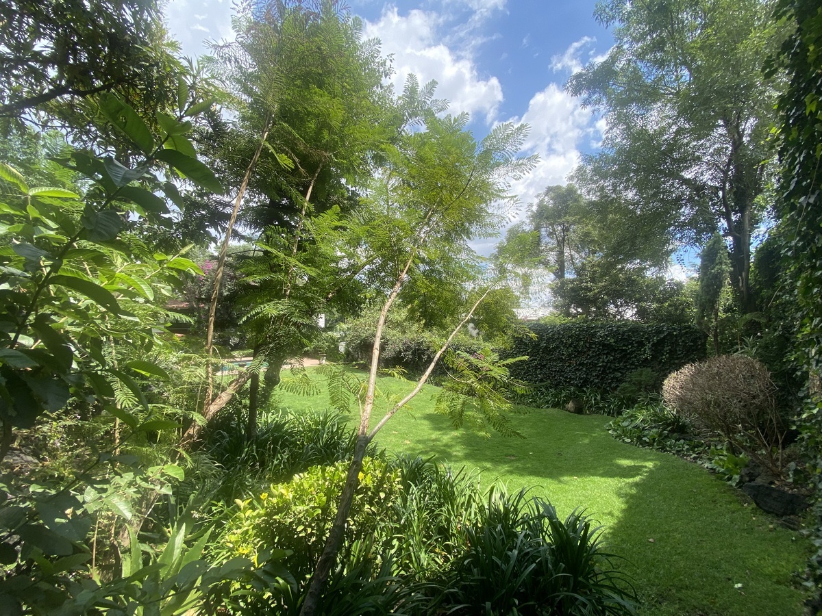 20 de 22: Casa en Renta en Jardines del Pedregal Rayo Vende ®