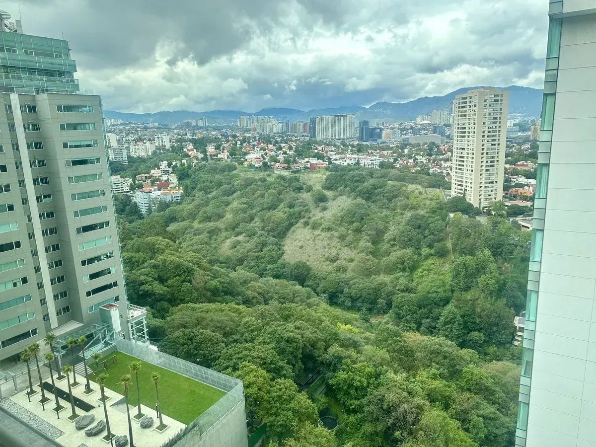 5 de 12