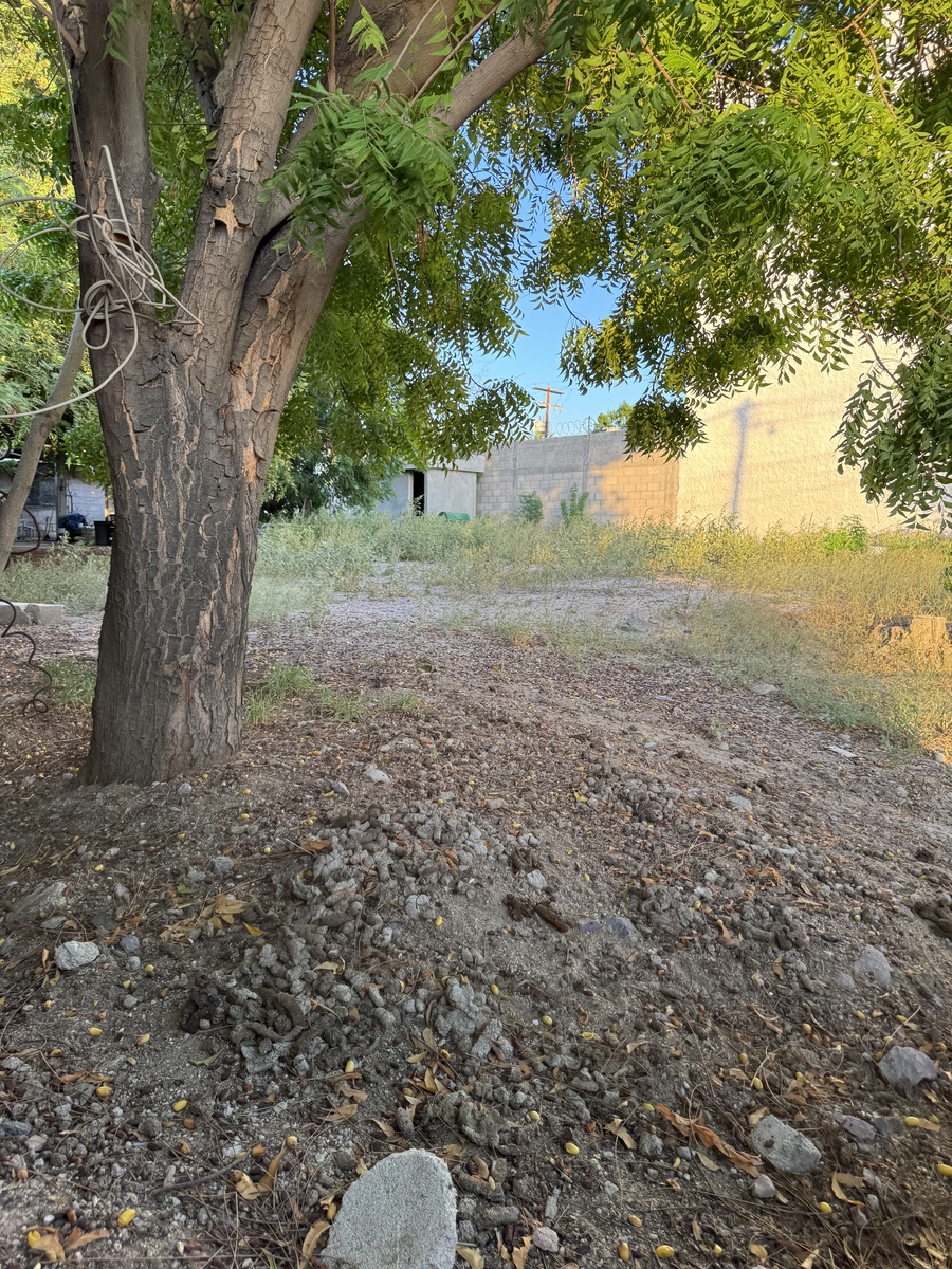 3 of 8