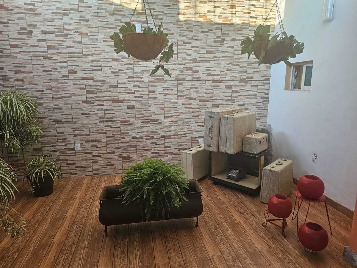 4 de 31