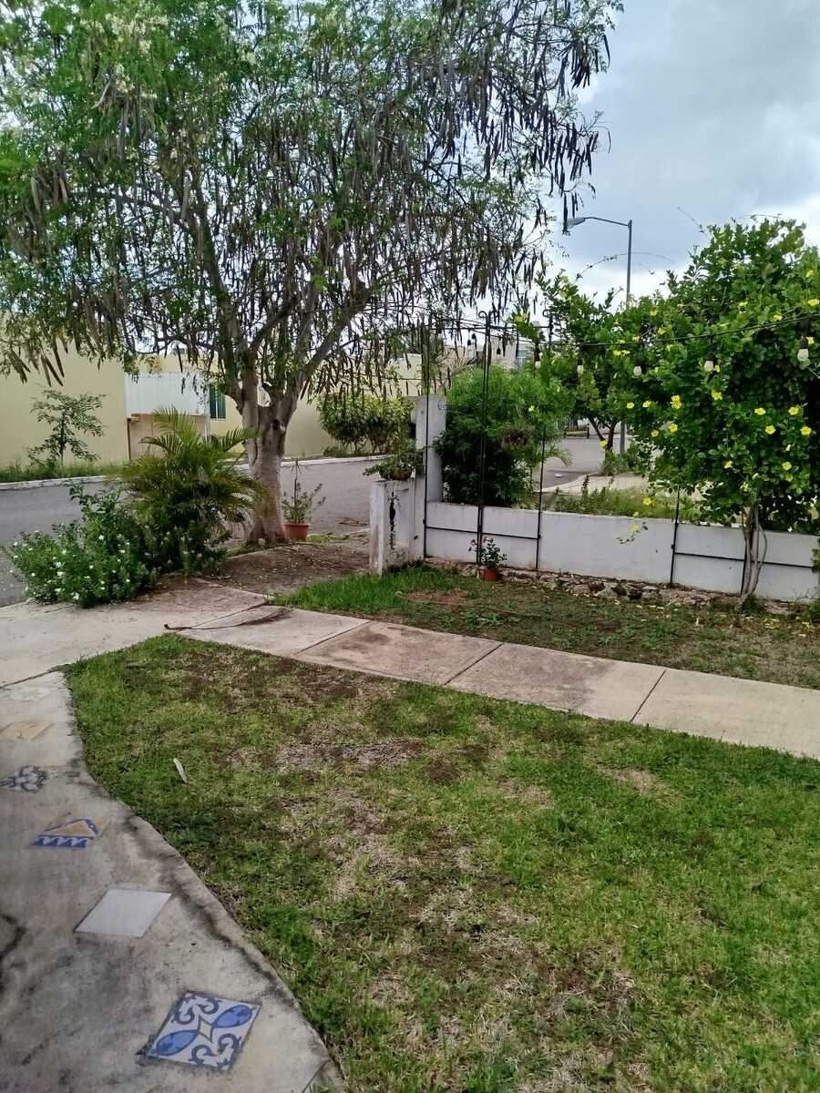 9 de 17