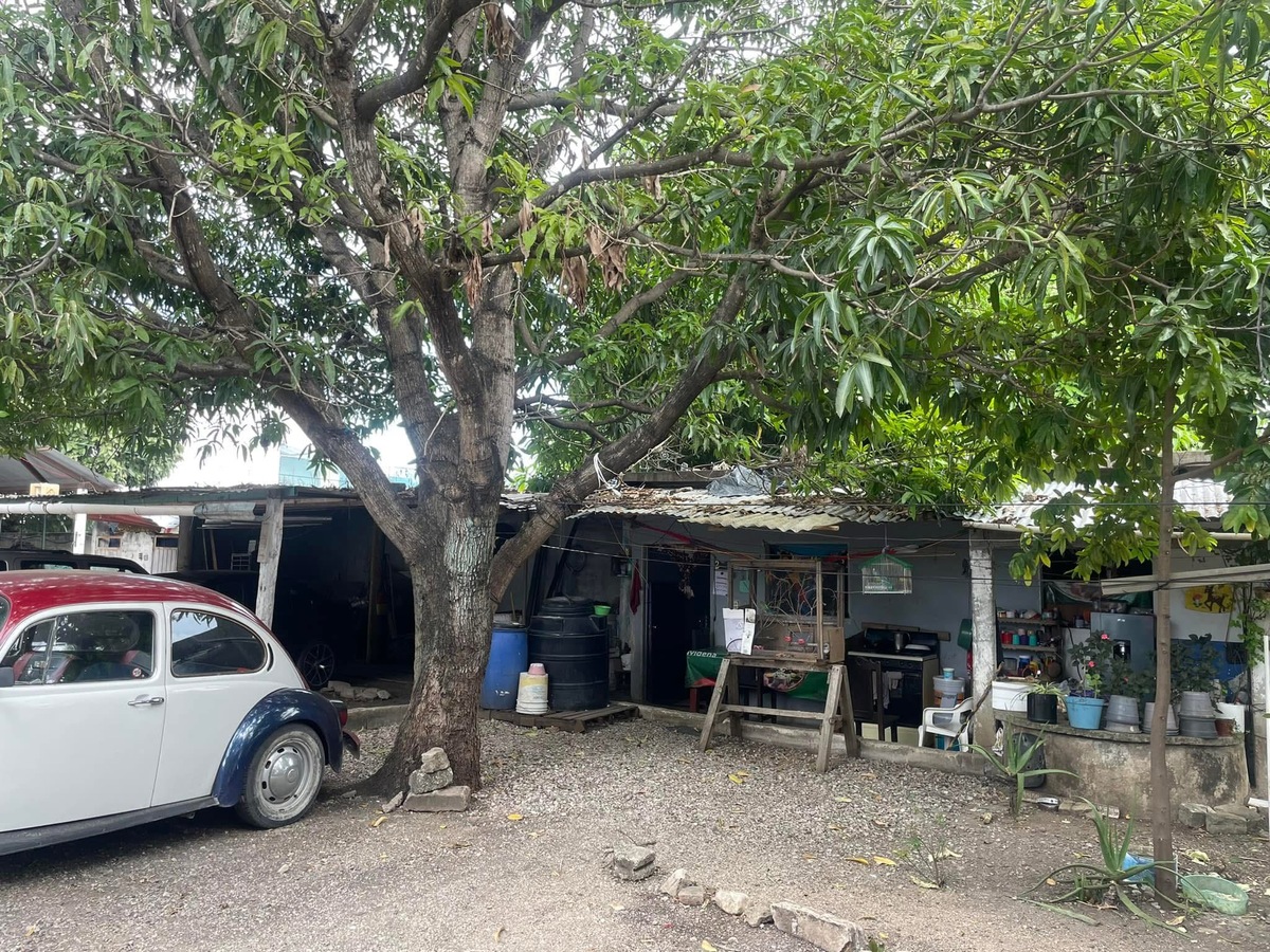 6 de 9