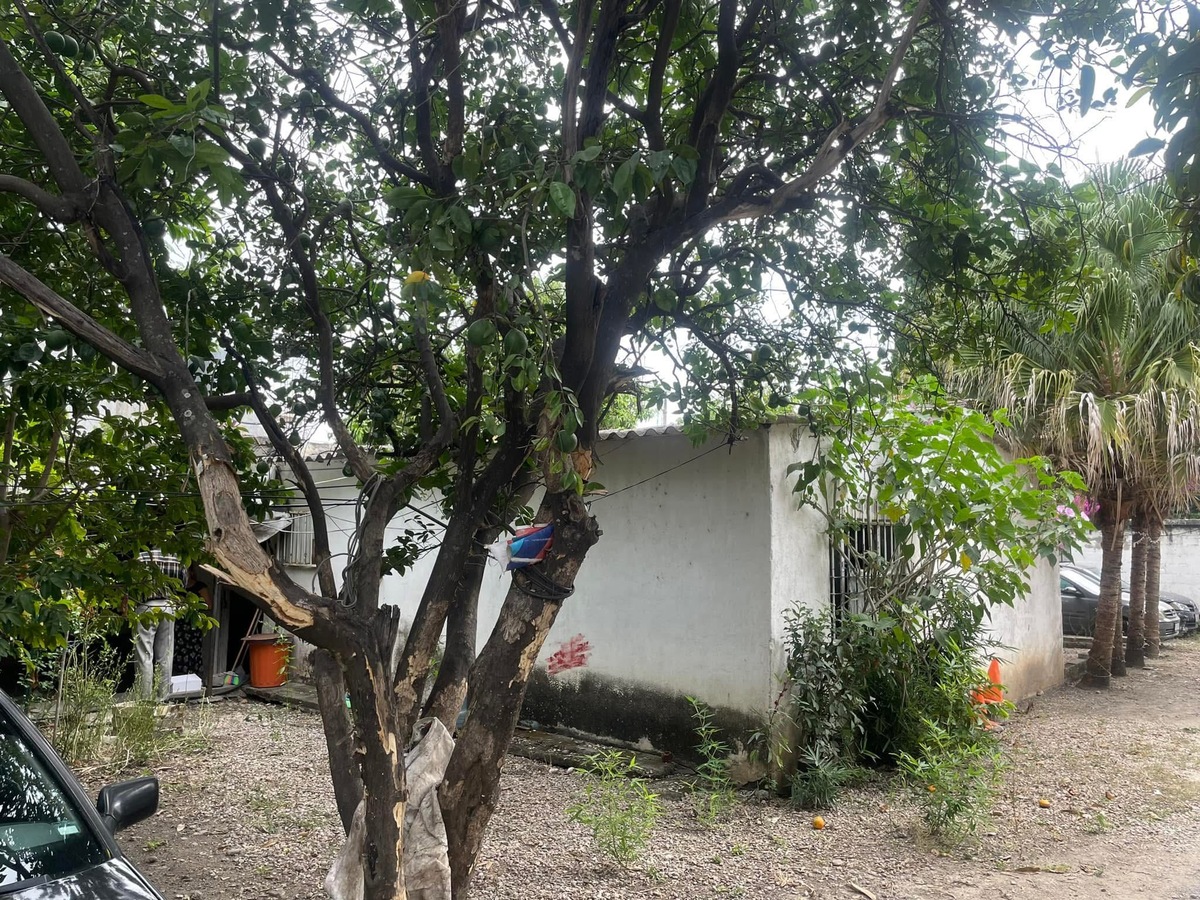 7 de 9