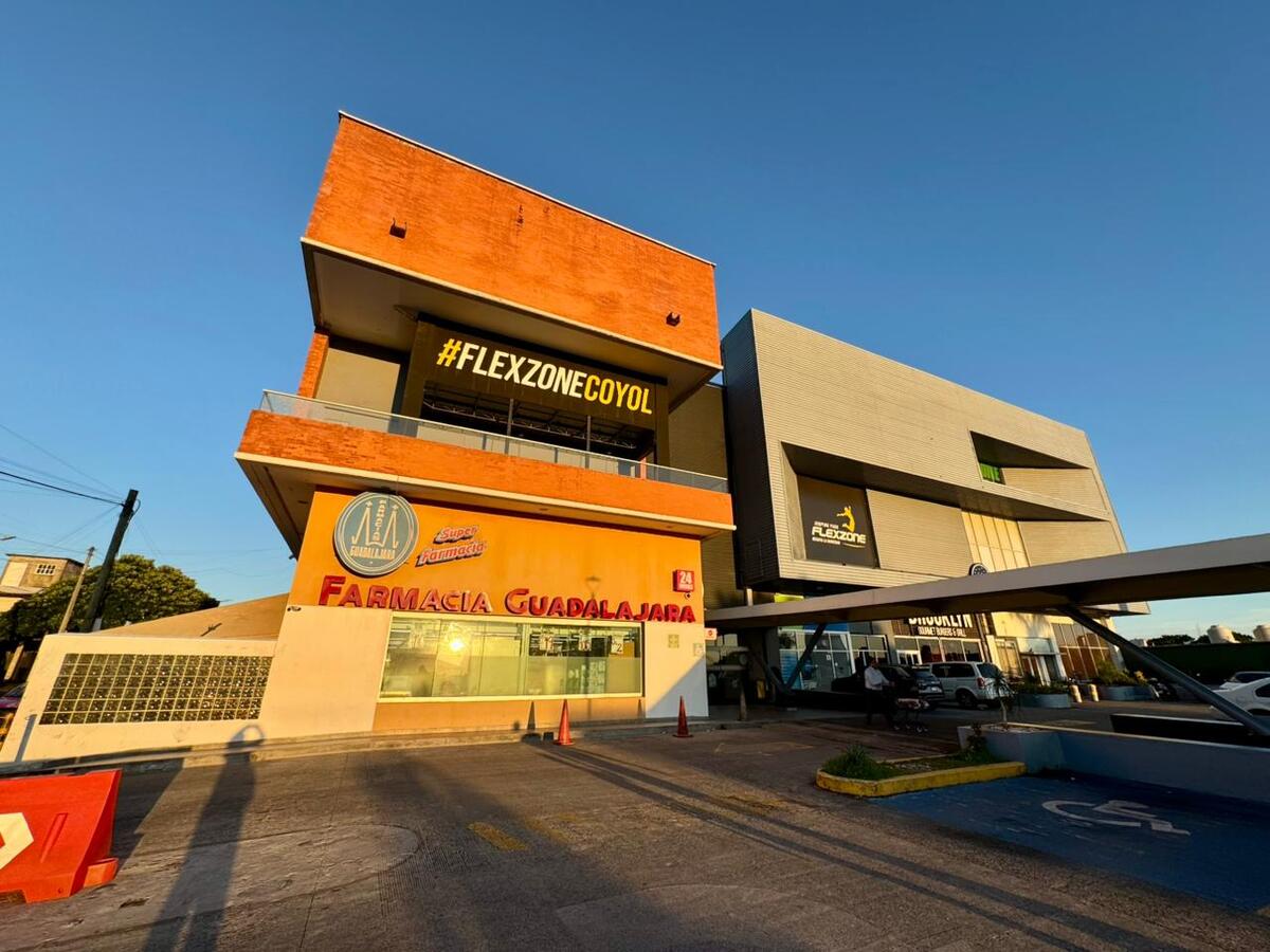 5 de 12