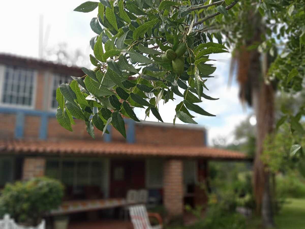 1 of 14
