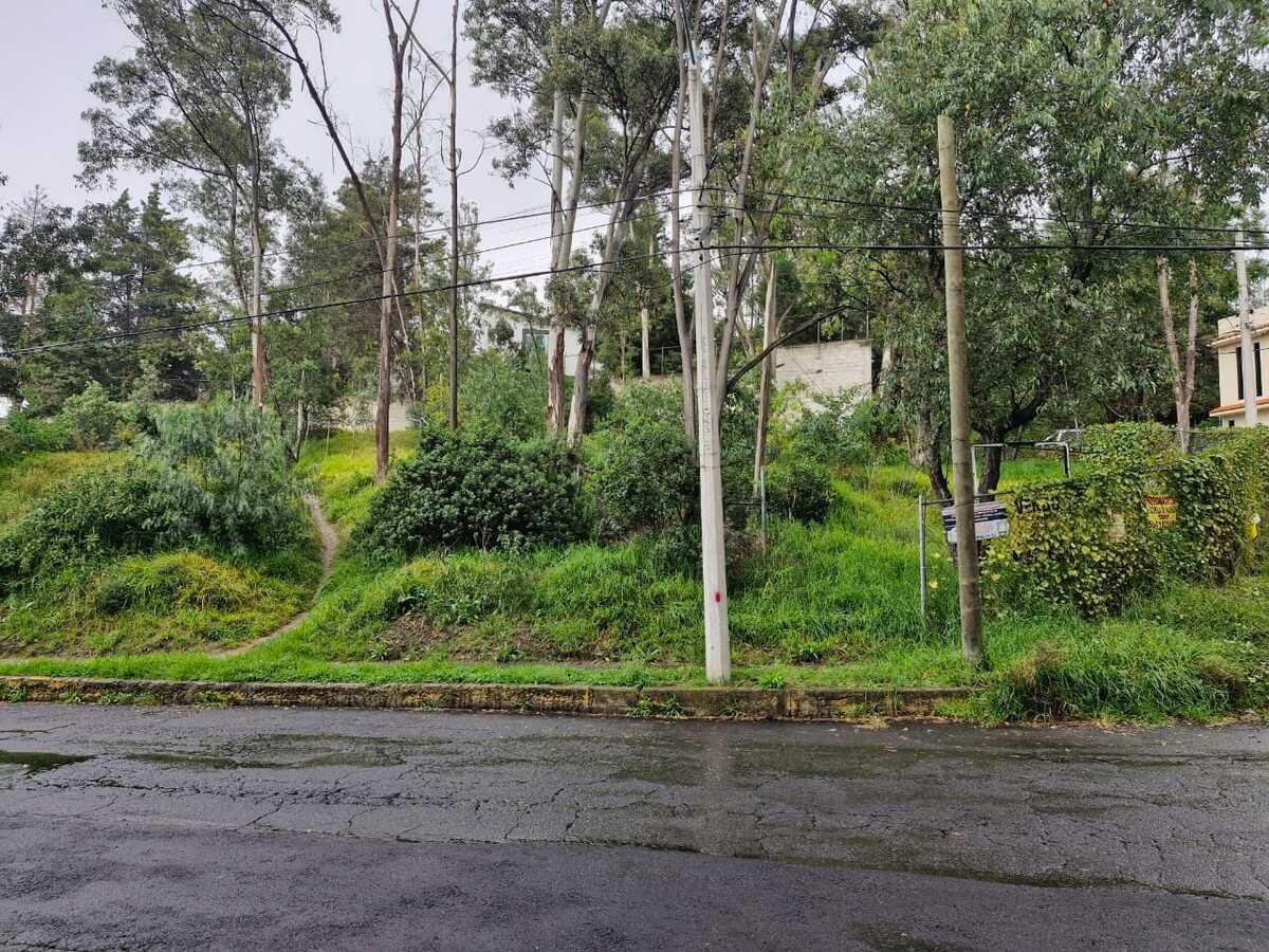 Terreno en Lago de Guadalupe - foto 3