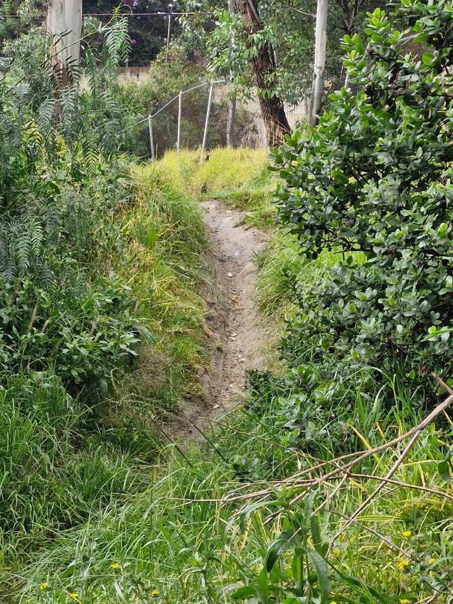 Terreno en Lago de Guadalupe - foto 4
