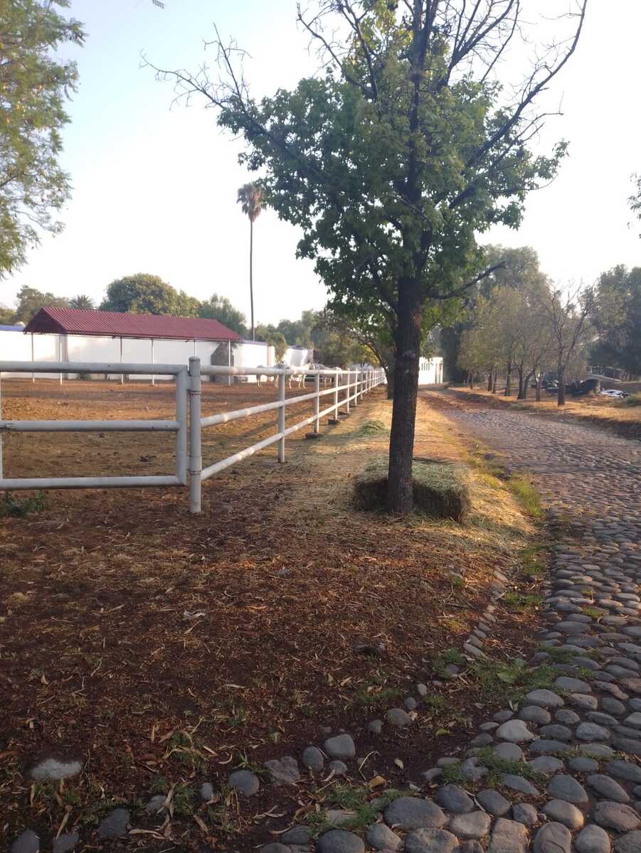 2 of 39