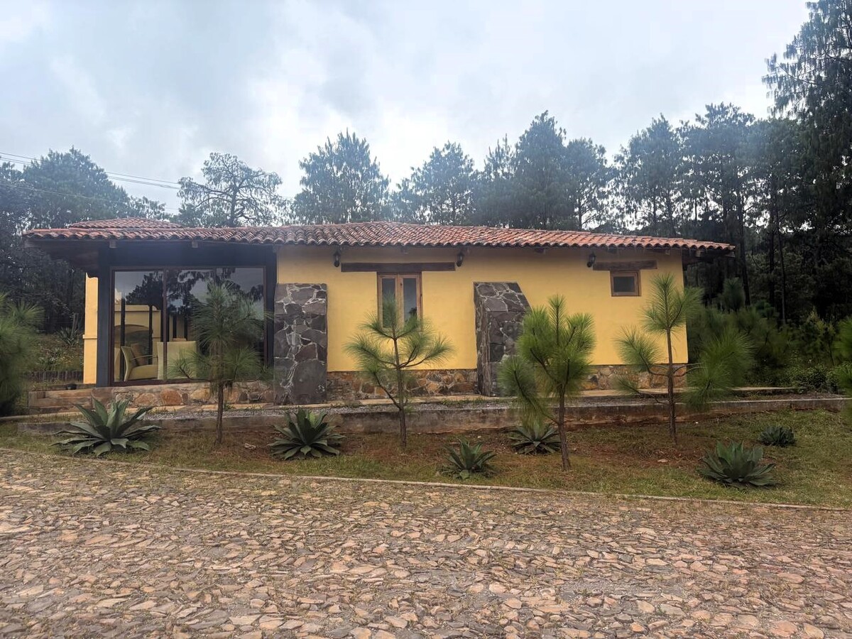 13 de 15