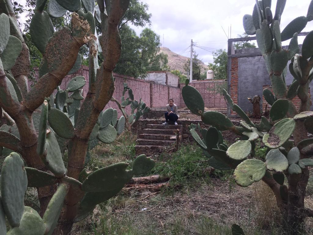 5 de 14