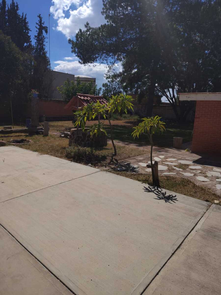 3 de 16