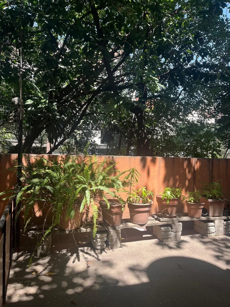 2 de 19