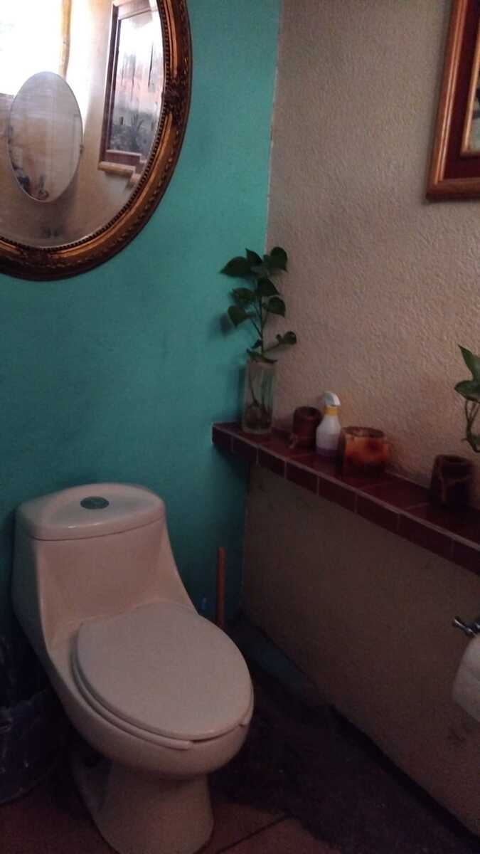 11 de 17