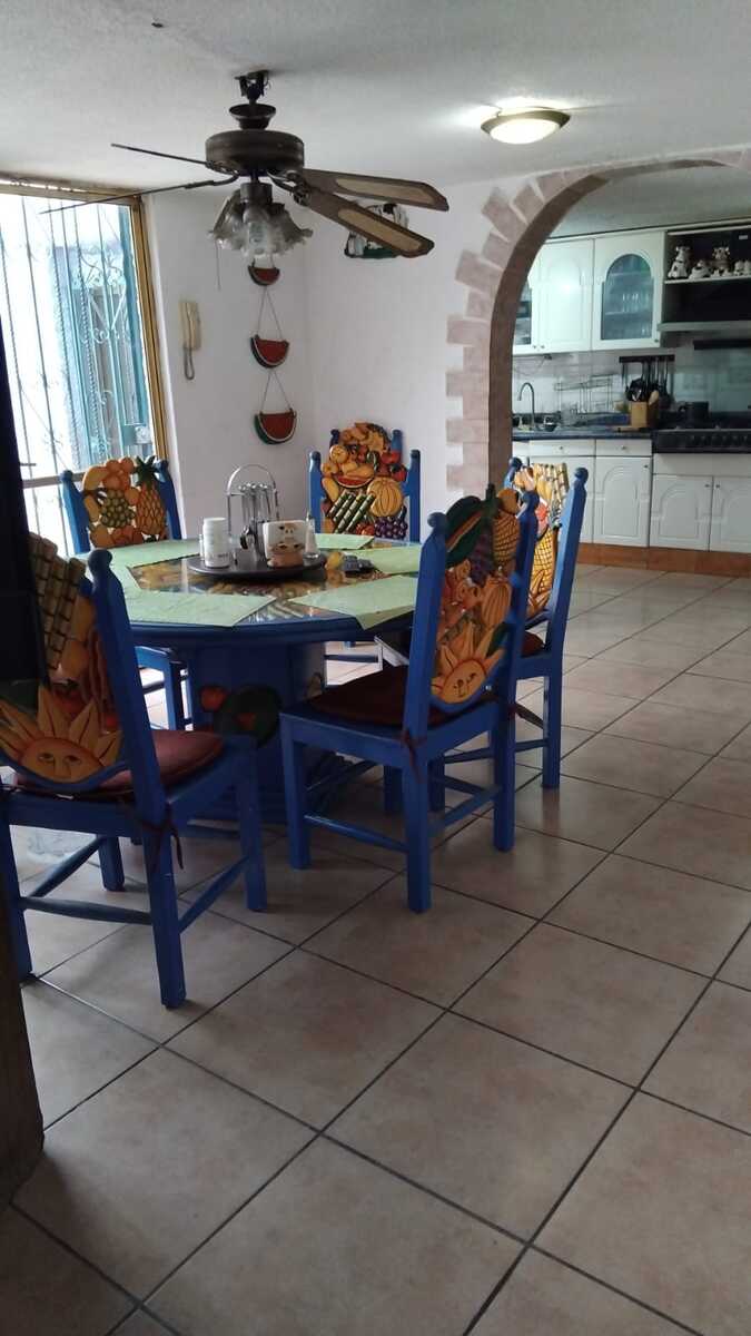 6 de 17