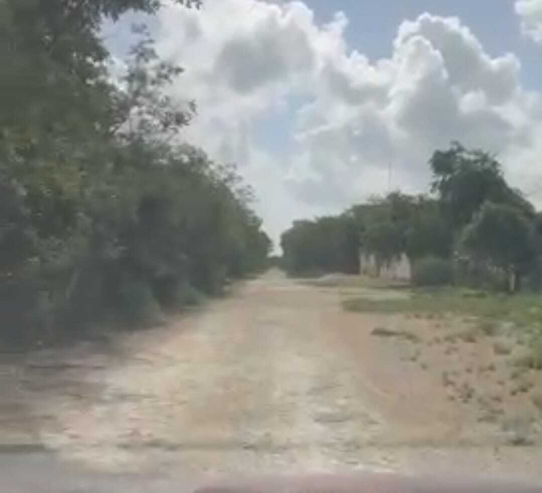 5 de 12