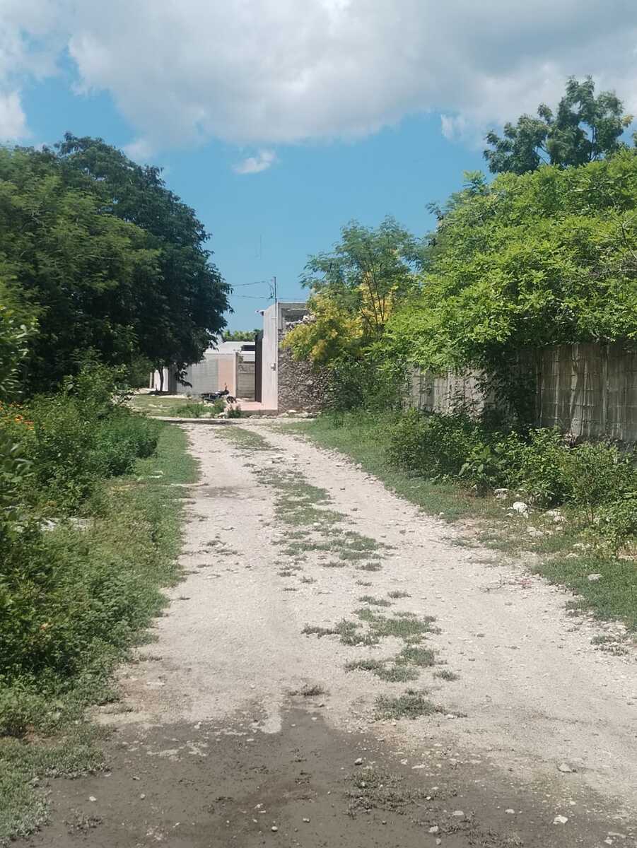2 de 31