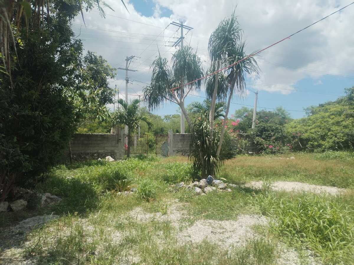 4 de 31