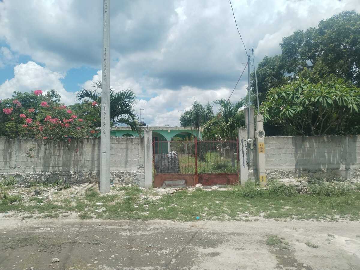5 de 31