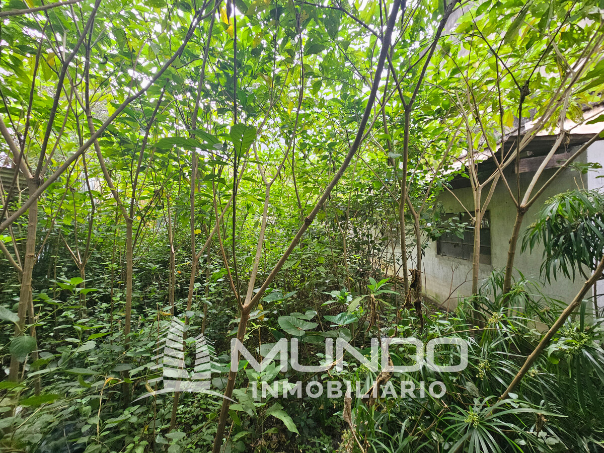 7 de 9: Vista de la casa a demoler