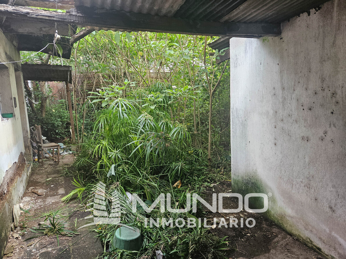 9 de 9: Vista del fondo de la propiedad