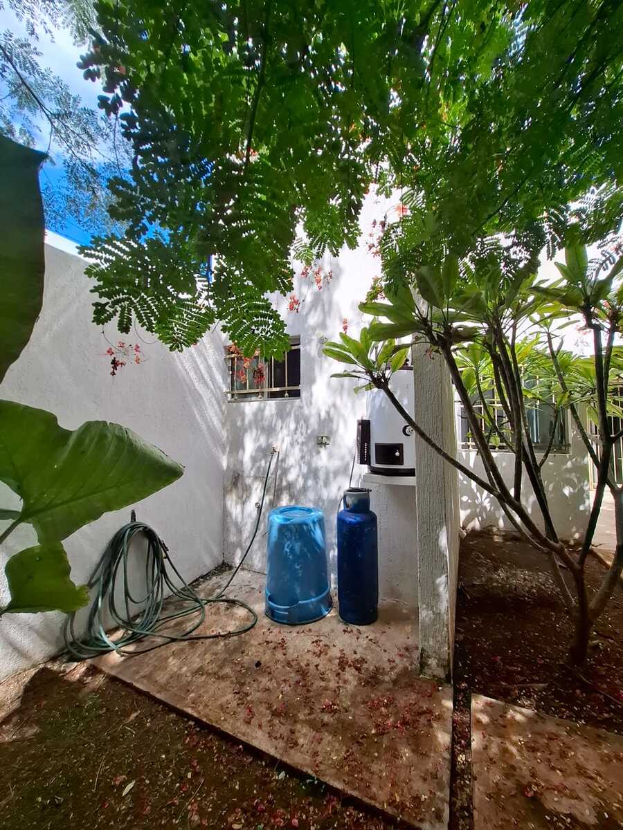 25 de 25