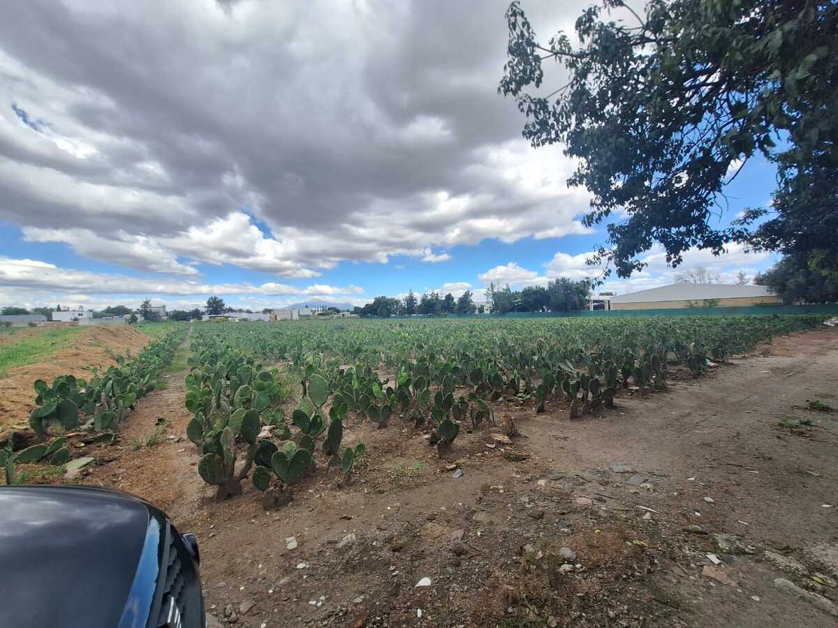 2 de 2