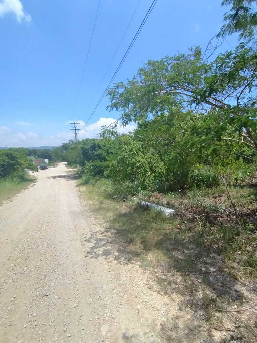 4 de 6