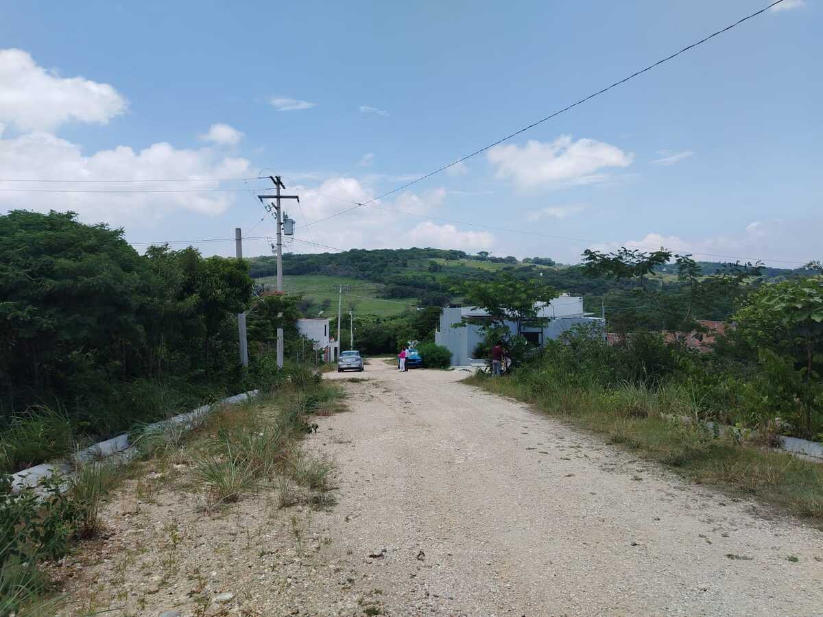 2 de 6