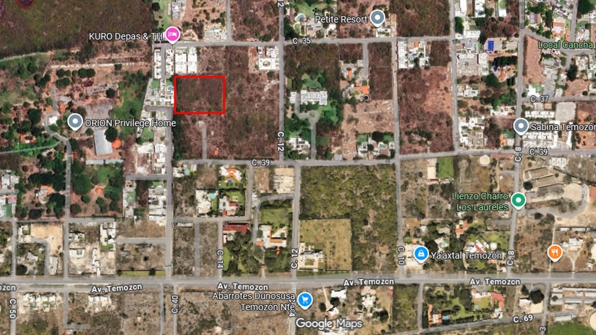 1 of 5: Ilustración no oficial del predio.