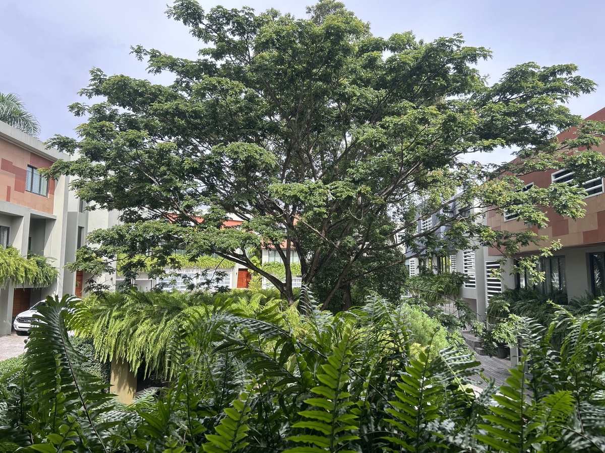 9 de 36