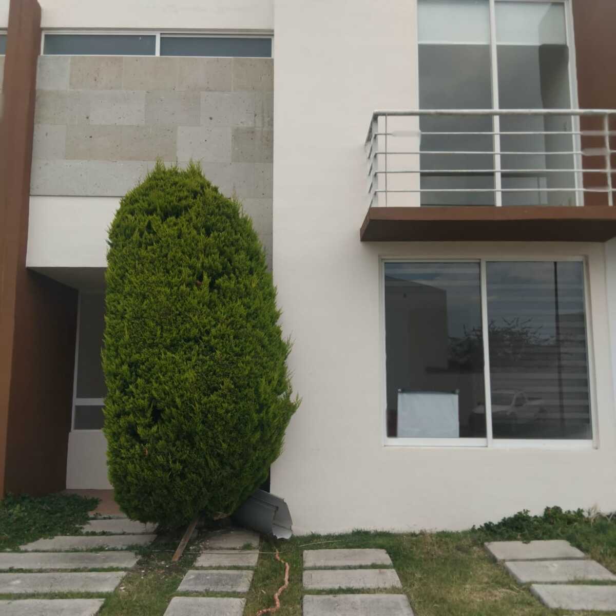 1 de 24