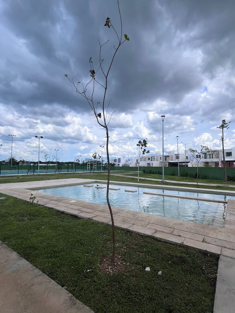 21 de 22: Carril de nado con piscina