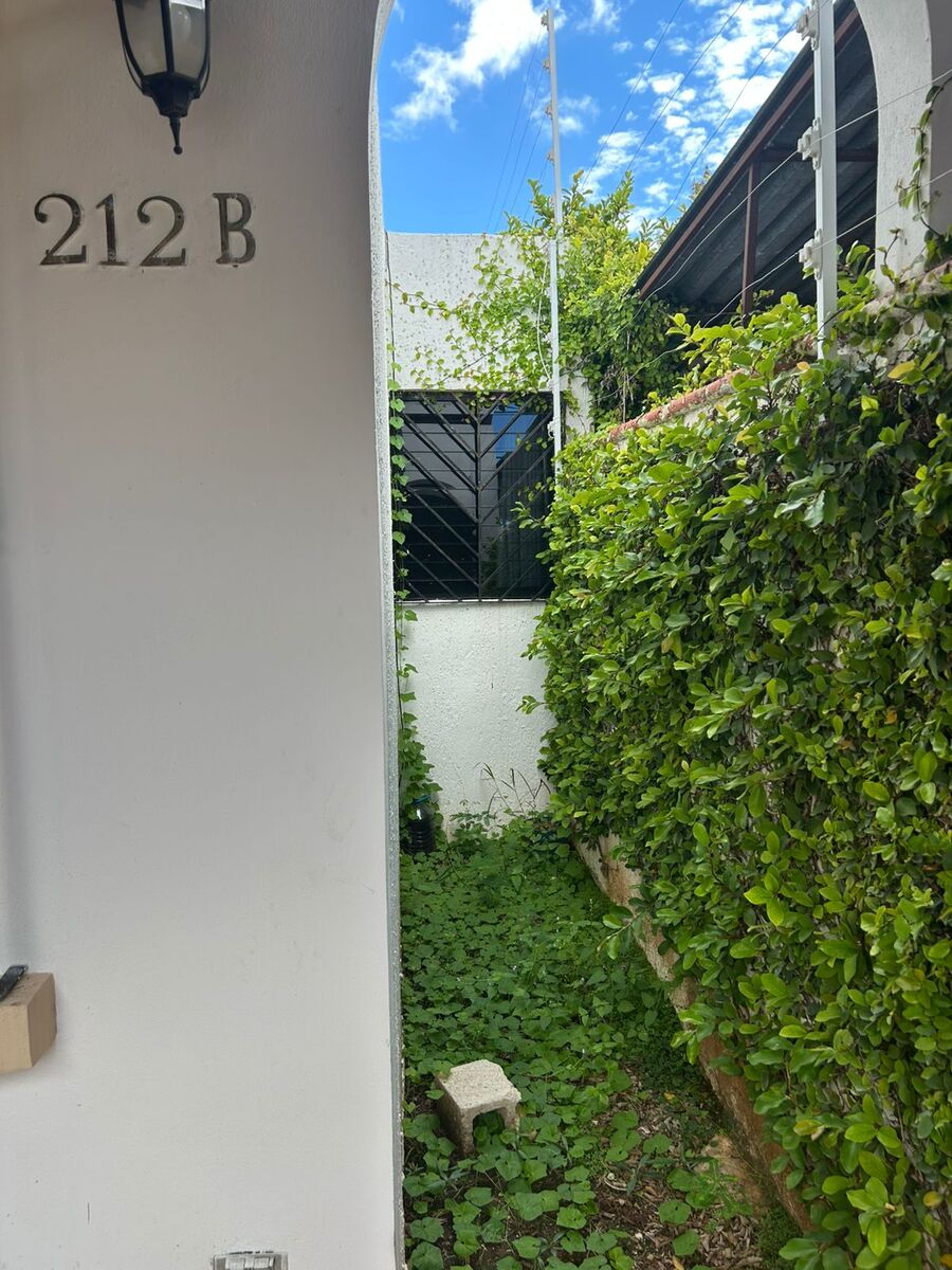 4 de 16