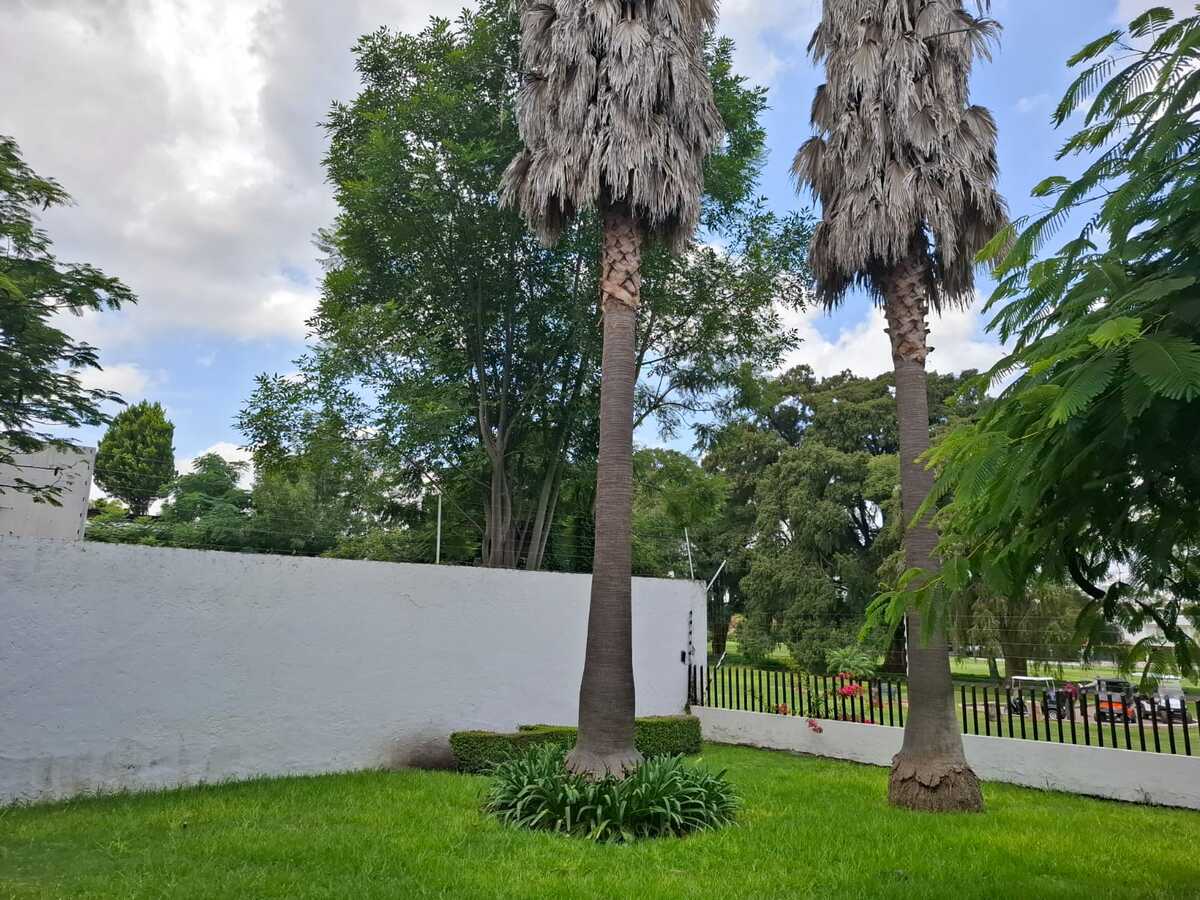 4 de 24