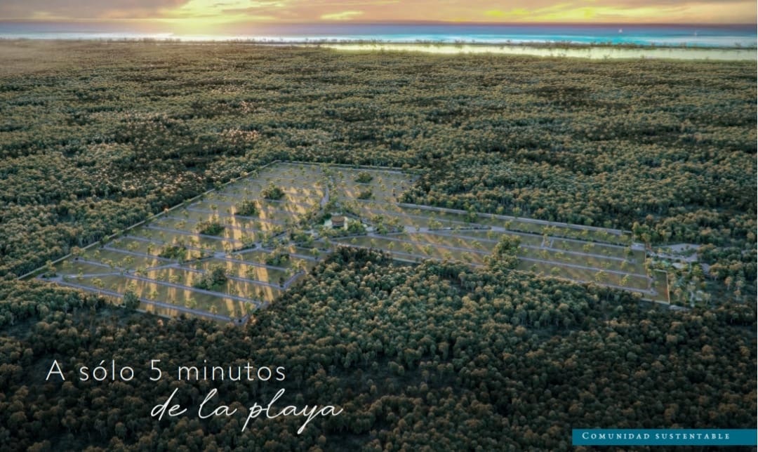 3 de 19