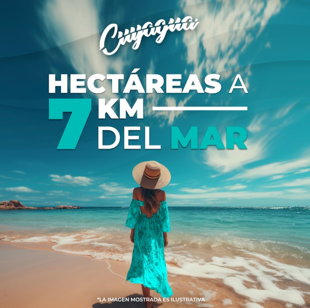 4 de 10
