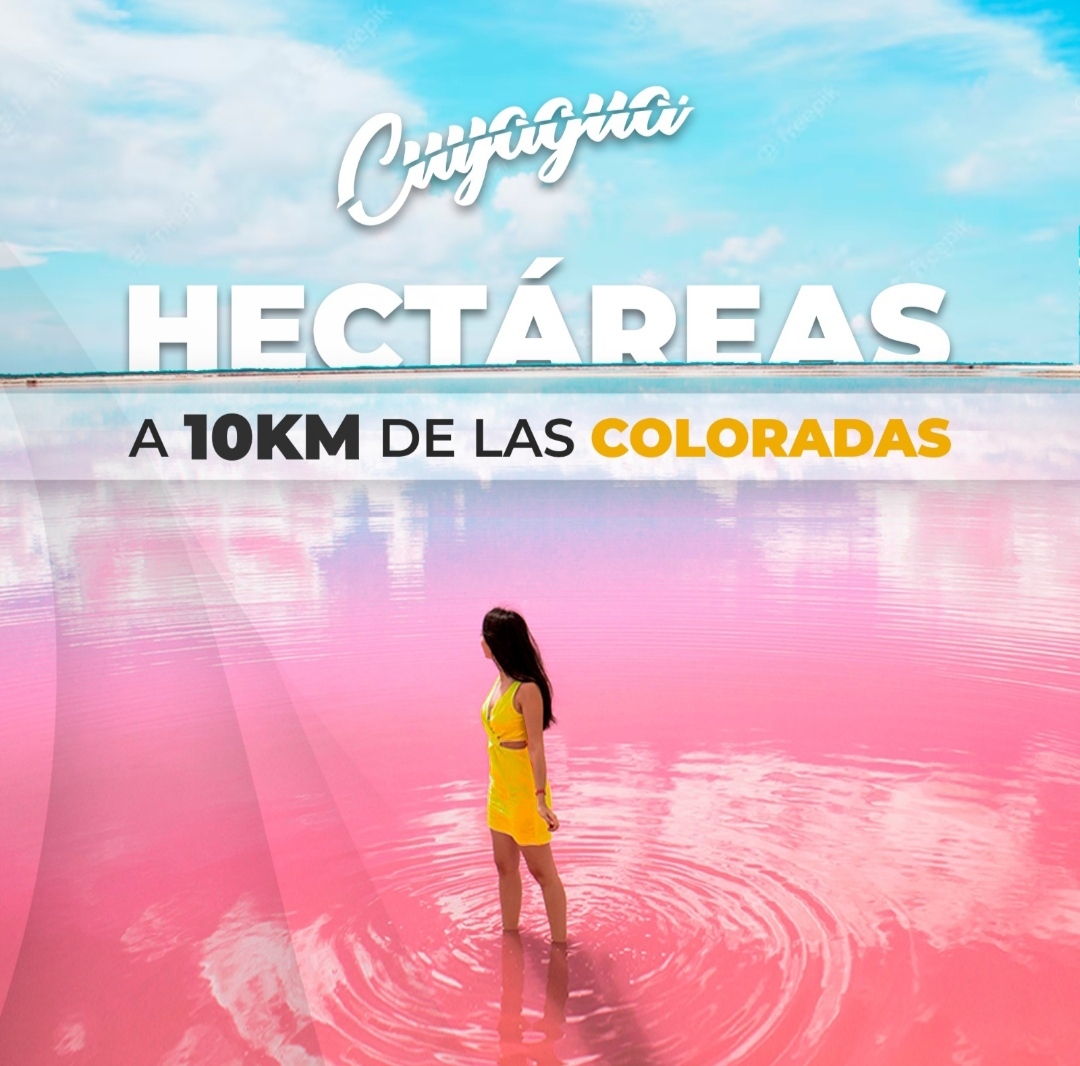 2 de 10