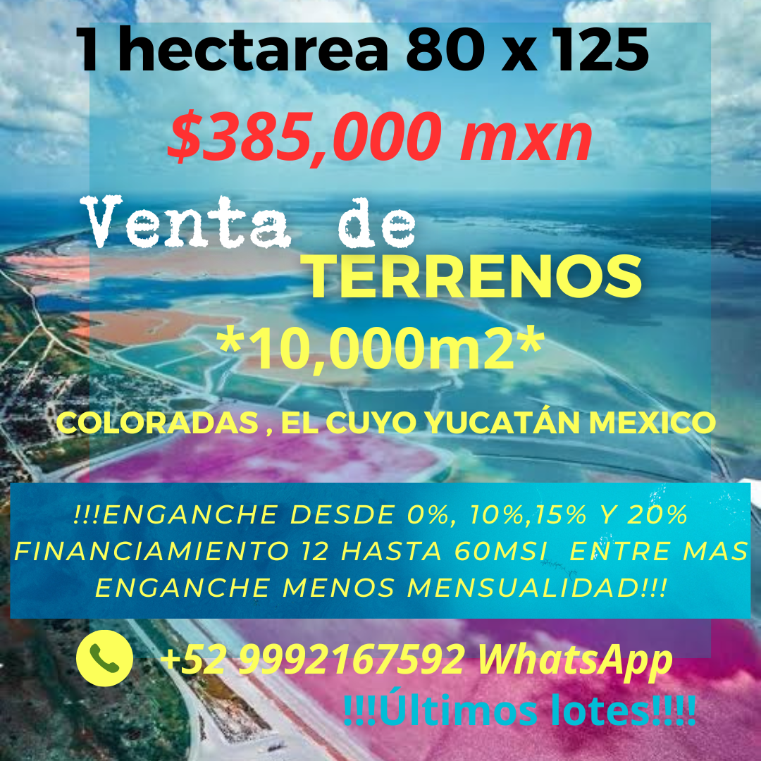 1 de 10