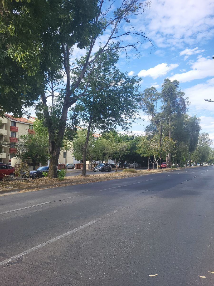 16 de 17