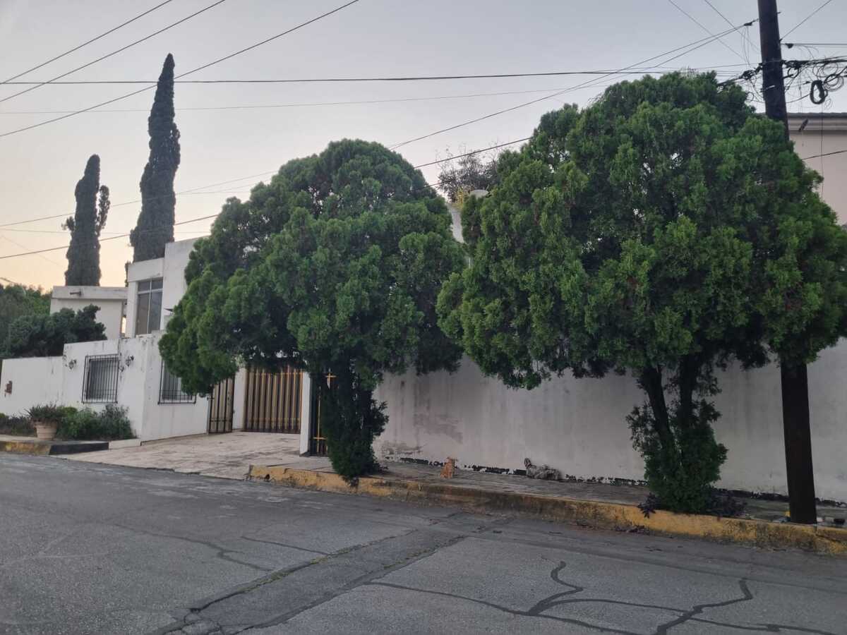 4 de 14