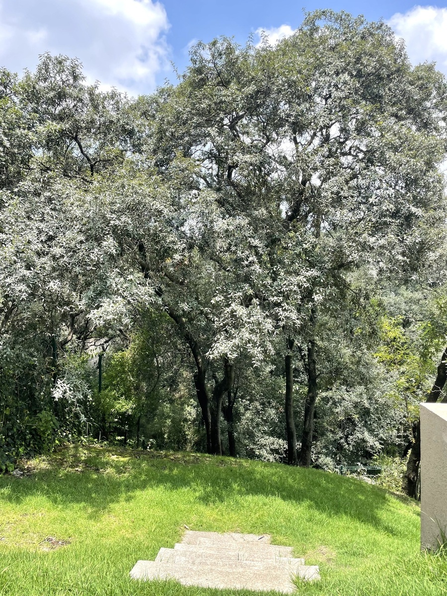 27 de 50