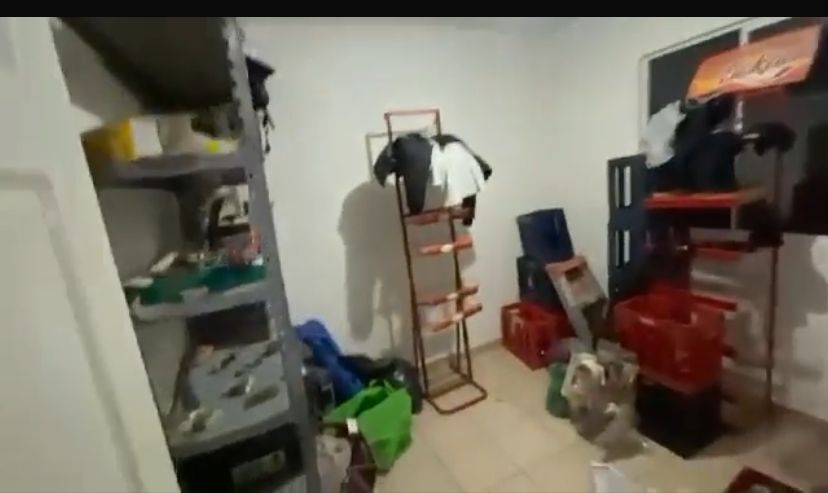 3 de 8