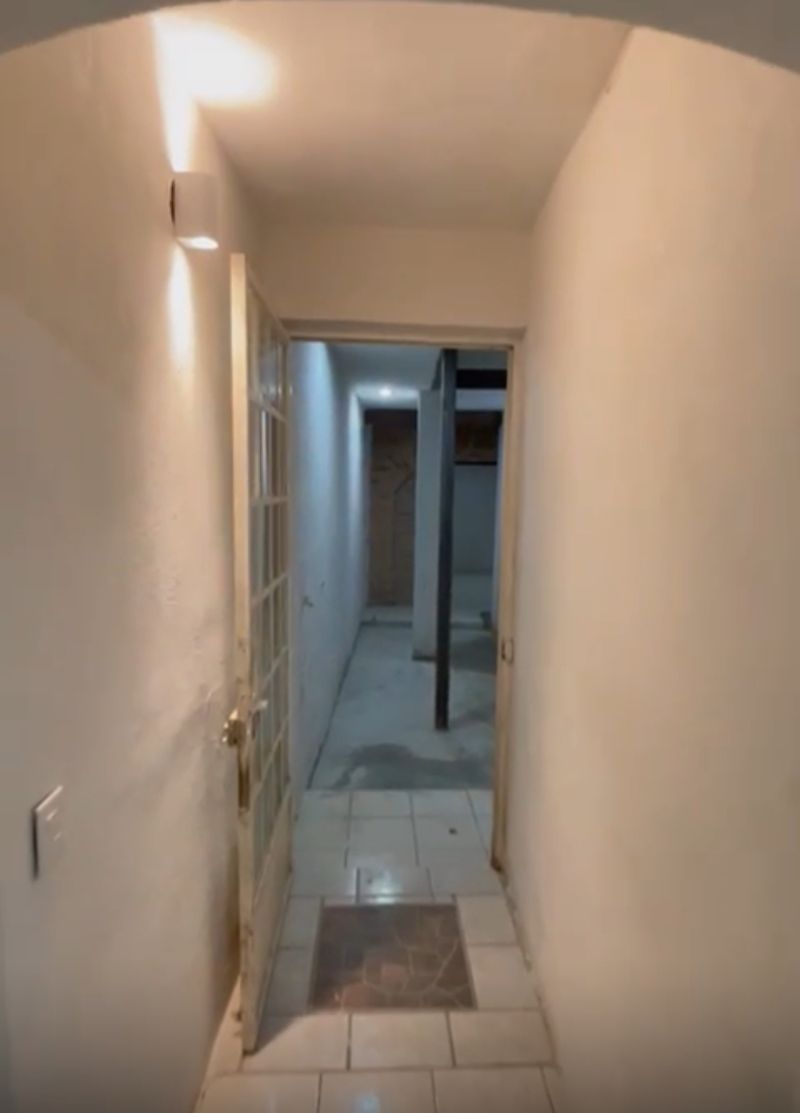 19 de 50
