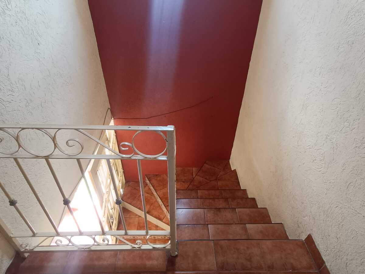 3 de 6