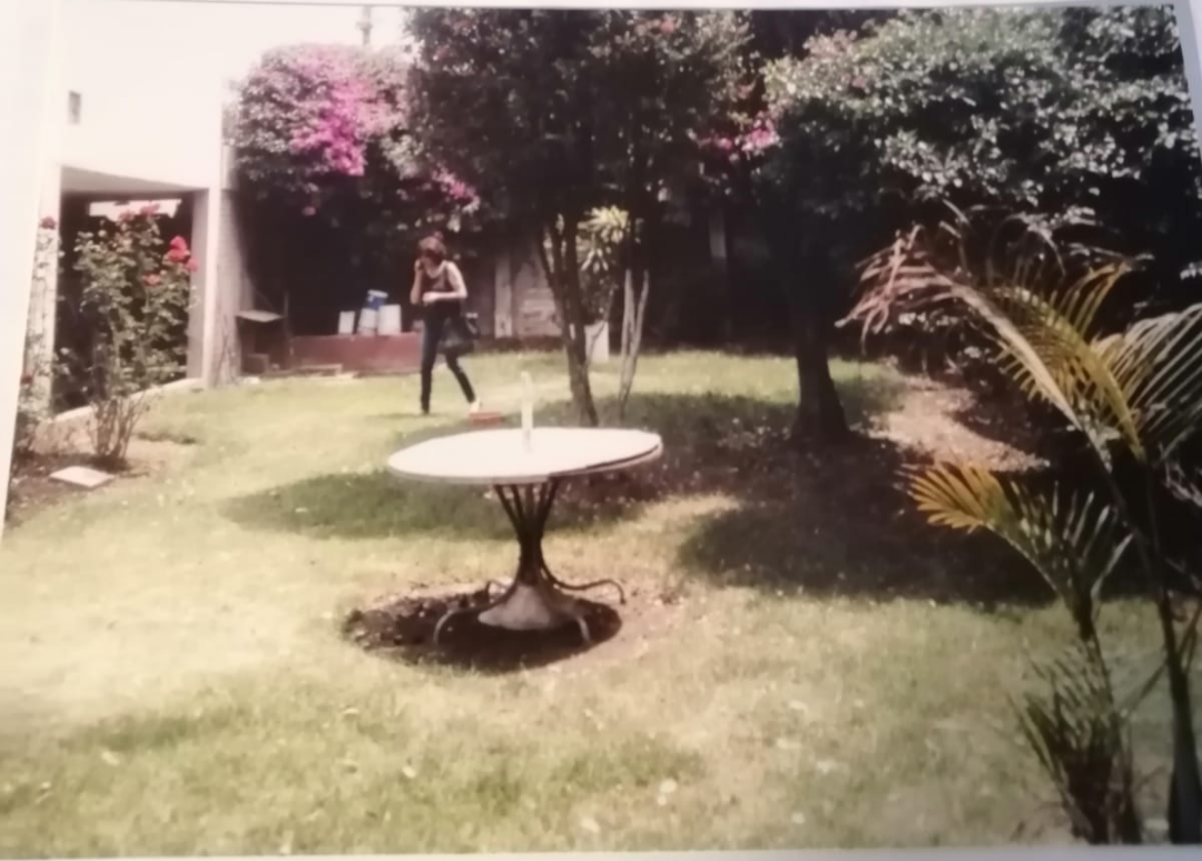 2 de 3